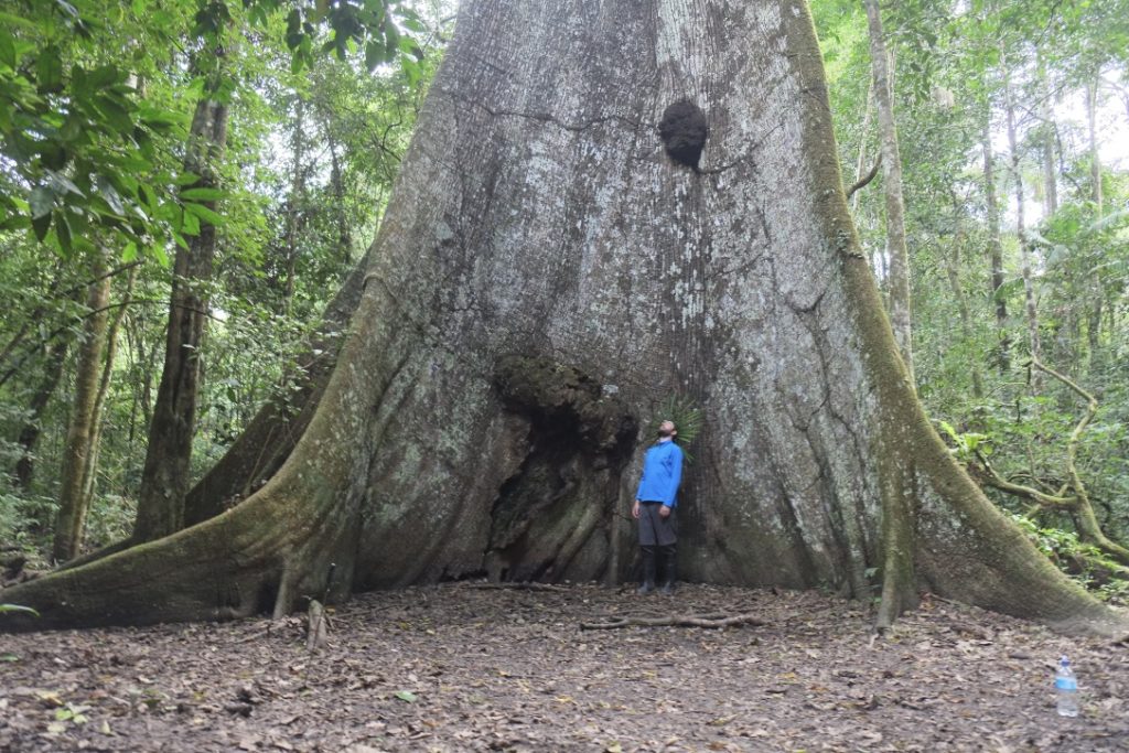 7 Days in Peru Ollantaytambo, Machu Picchu & the Amazon Rain Forest