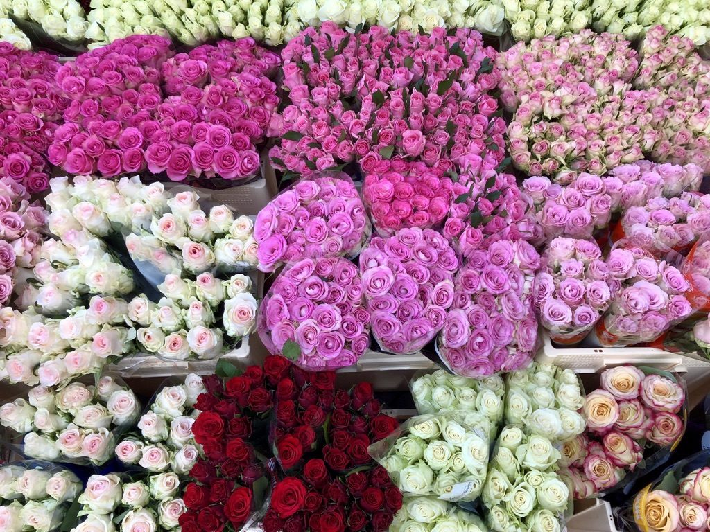 One Day in Utrecht Exploring the Dutch City’s Historic Old Town The